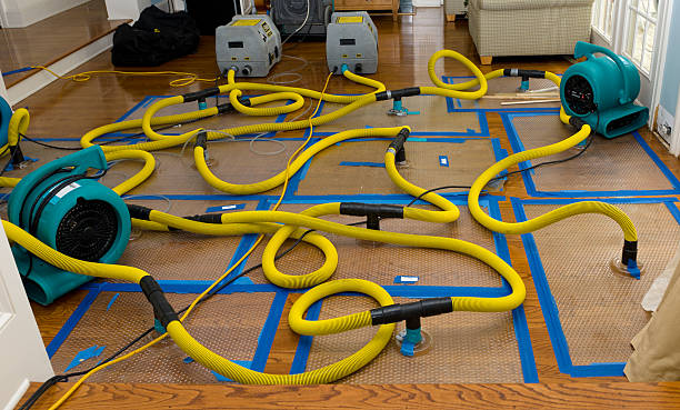 Professional Water Damage Restoration technician working in Chebeague Island, ME